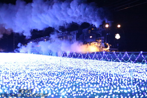 イルミネーションに照らされたSL大樹10号