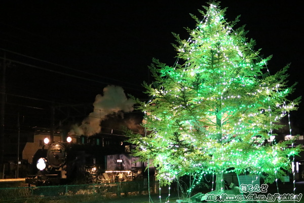小佐越のツリーのイルミネーションとSL大樹10号