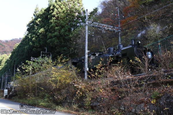 SL大樹を後追いで撮影