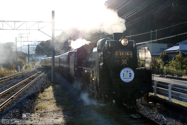 逆光下で撮影したSL秩父鉄道創立123周年記念号