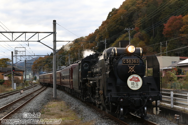 紅葉とSL埼玉県民の日号