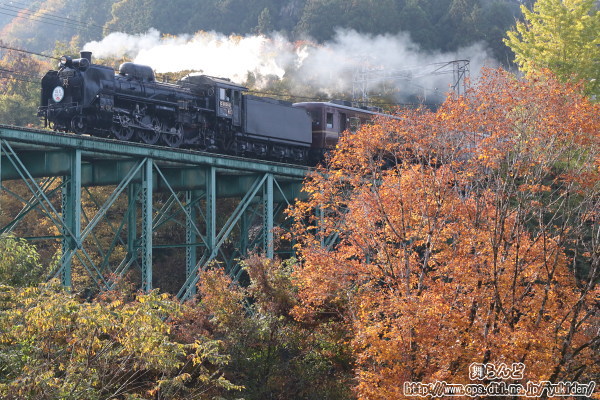 紅葉シーズンを迎えた安谷川橋梁を渡るSL埼玉県民の日号