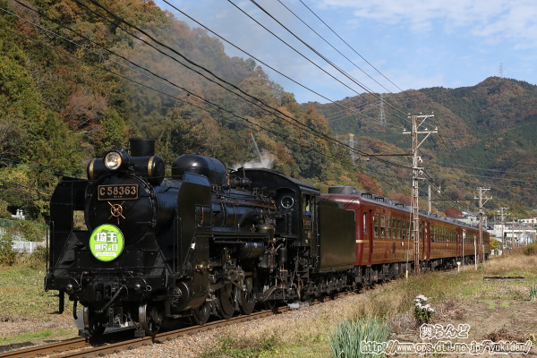 木々が色付き始めた山間部を行くSL埼玉県民の日号