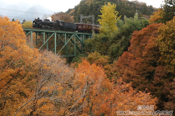 紅葉の旬を迎えた安谷川橋梁を渡るSL埼玉県民の日号