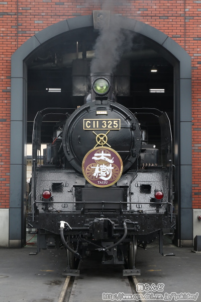 正面から撮影したC11 325