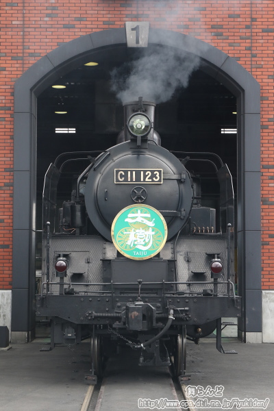 正面から撮影したC11 123