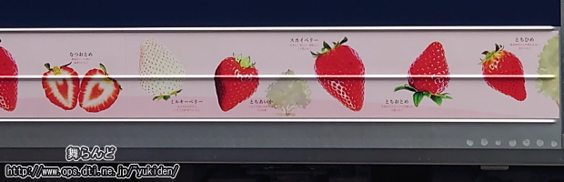 ベリーハッピートレインにラッピングされたイチゴ（下段）