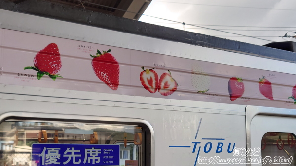 ベリーハッピートレインにラッピングされたイチゴ（上段）