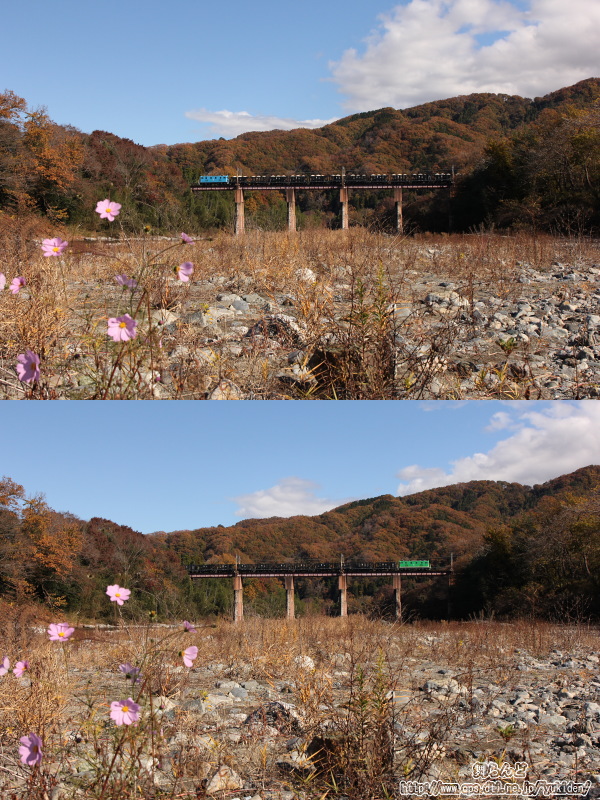 晩秋の荒川橋梁を渡る貨物列車（その1）