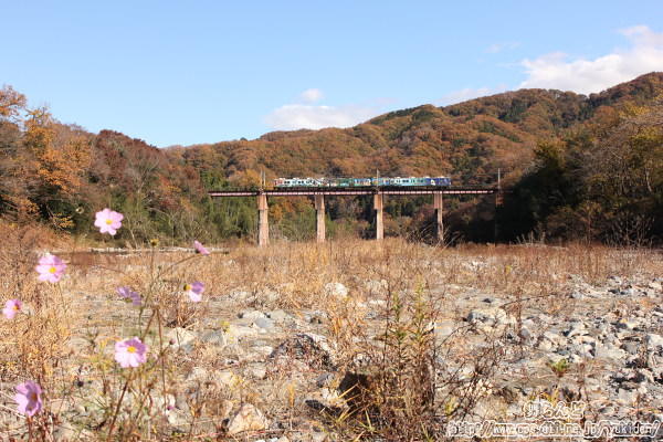 晩秋の荒川橋梁を渡る秩父ジオパークトレイン