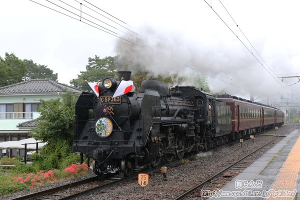 彼岸花とSL運行30周年記念号（その１）