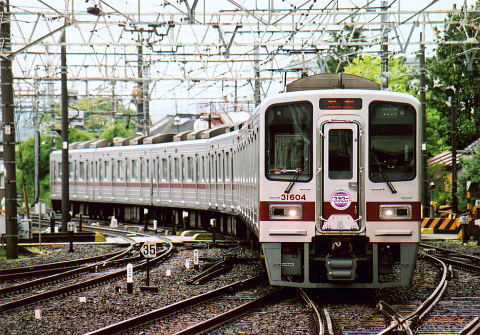 31604Fٗѓ