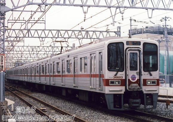 31603FPƑs