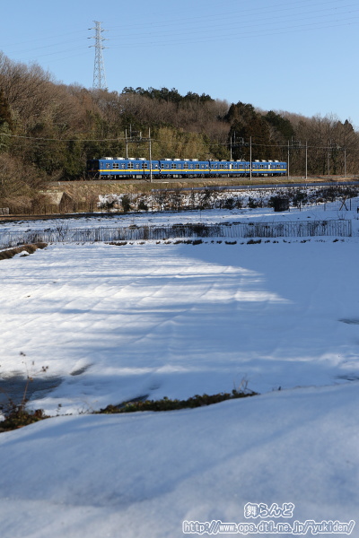 雪原と8198F