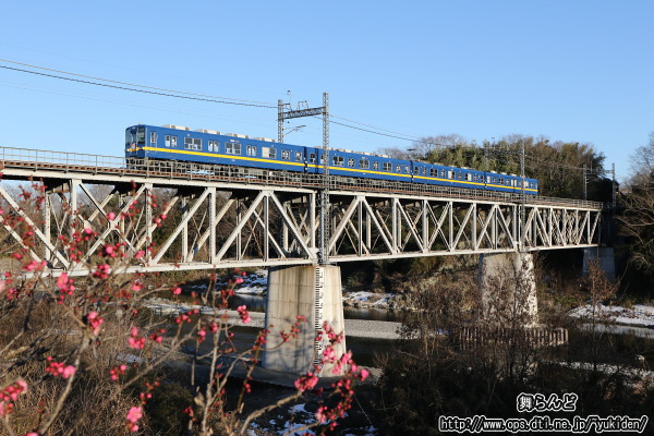 荒川橋梁を渡る8198F