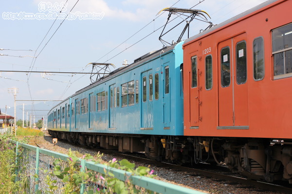1000nݐ؂cA[i8/31@HPj
