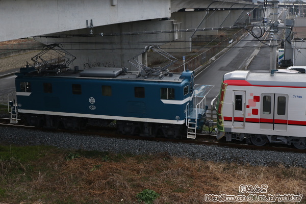 71706FbAԁi^fL302j