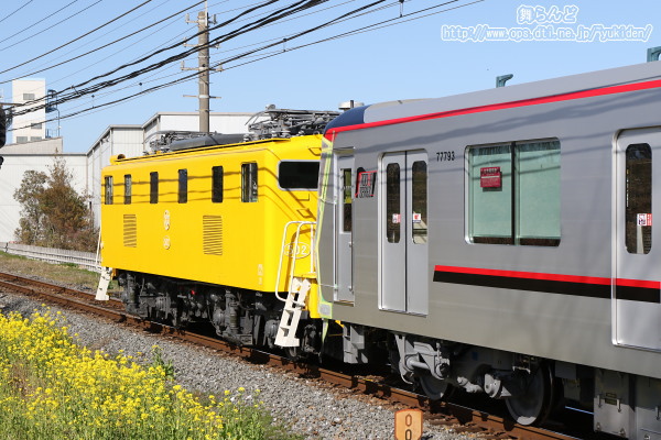 71793FbAԂ̍Ō͉FfL502