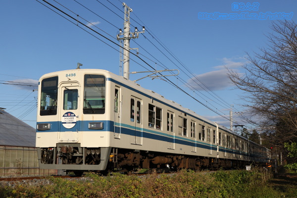 枝だけになった桜の脇を走り抜ける新駅開業記念のヘッドマークを付けた8198F