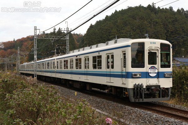 アジサイの脇を走り抜ける新駅開業記念のヘッドマークを付けた8198F