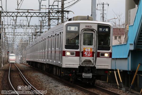 ꐳwbh}[Nt11651Fiԁj