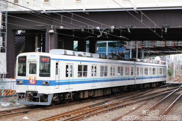 ꐳwbh}[Nt8575FîPj