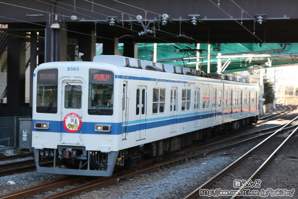 2019N̊x̃wbh}[Nt8565F