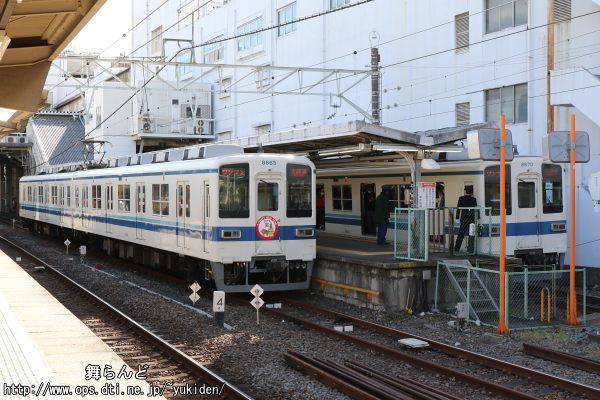 t̉^pɏA8565F8570F
