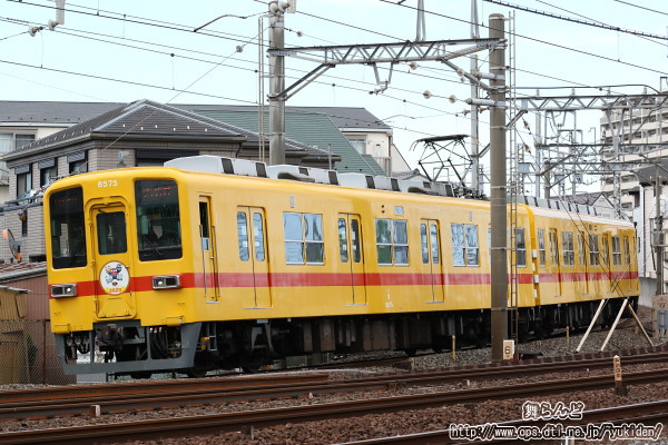 2020N̊x̃wbh}[Nt8575F