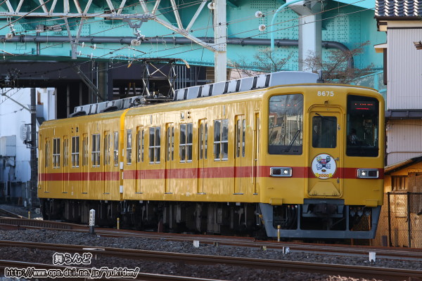 VwtOւƌ2020N̊x̃wbh}[Nt8575F