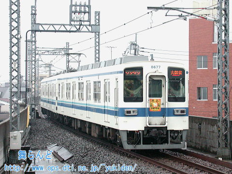 tOwi8577Fj