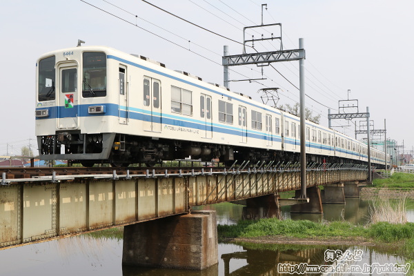 Ղwbh}[Nt8164FîPj