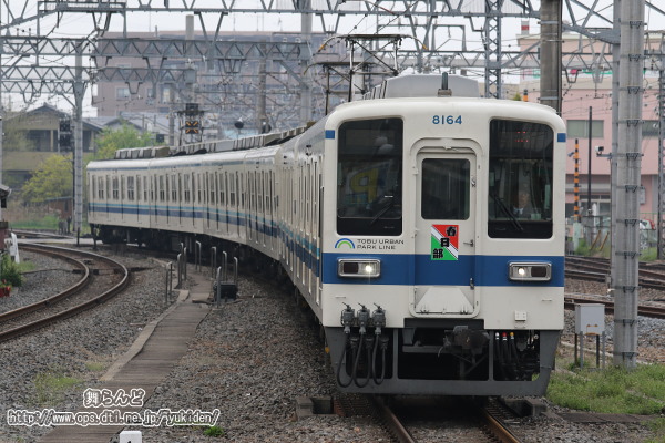 Ղwbh}[Nt8164FîQj