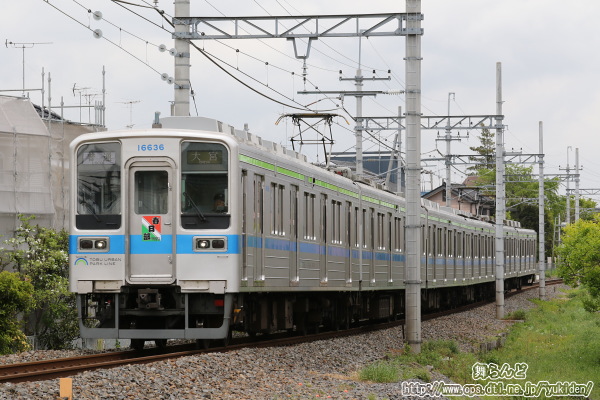 Ղ̃wbh}[Nt11636FîQj