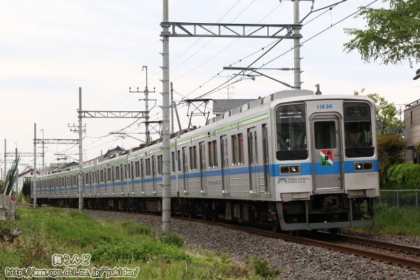 Ղ̃wbh}[Nt11636FîRj