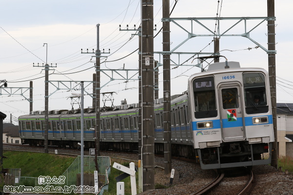 Ղ̃wbh}[Nt11636FîSj