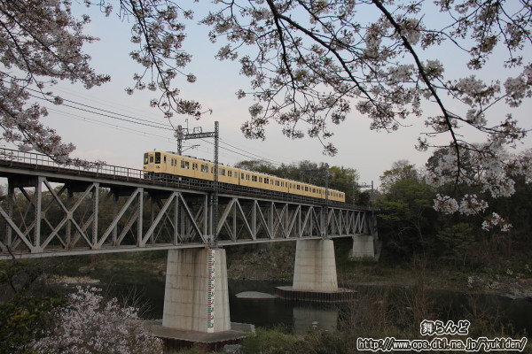 夕方の荒川橋梁を渡る81111F