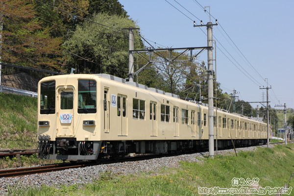 葉桜の脇を通過する81111F