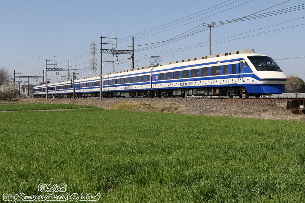 青々とした麦畑と『りょうもう「カルピス」EXPRESS』
