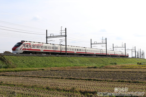 築堤上を行く普悠瑪（ぷゆま）カラーの208F
