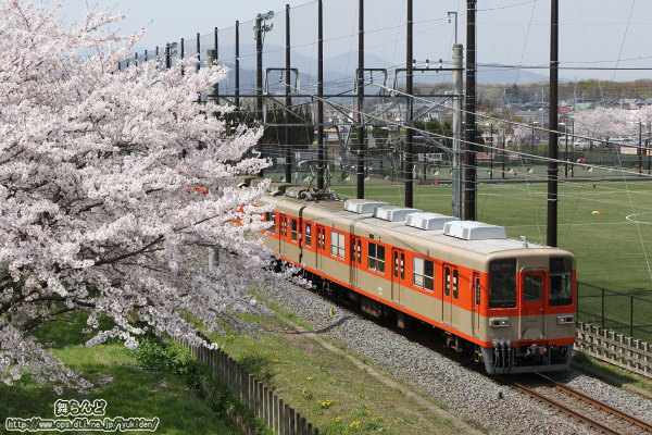 跨線橋から撮影した桜と81107F