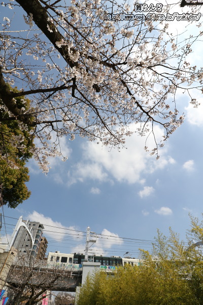 送込み回送1回目のスカイツリートレイン（その1）