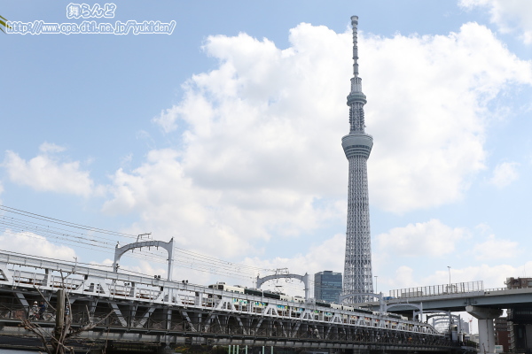 サクラトレイン（1回目）と東京スカイツリー