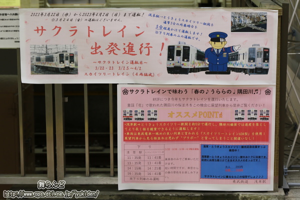 正面から撮影したサクラトレインの案内ポスター（3/28）