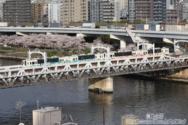 隅田川橋梁上での花見を終えとうきょうスカイツリー駅へと向かうサクラトレイン（サクラトレイン4回目　3/28）