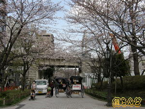 桜＆東武鉄道車両写真（2008年）