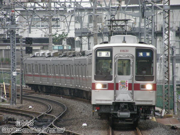 NHMt11631F