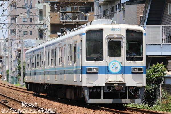 亀戸線を走る下町ラッピングトレイン（その１）