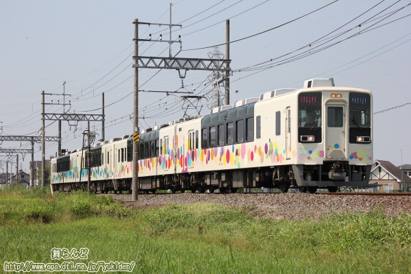 稲では無く雑草と一緒に撮影したスカイツリートレイン