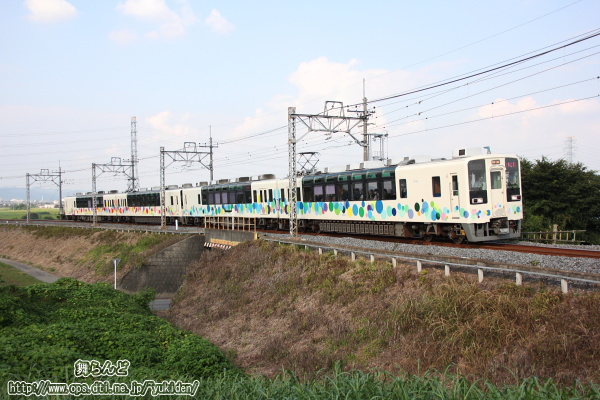 渡良瀬川橋梁へと向かう築堤上を走るスカイツリートレイン